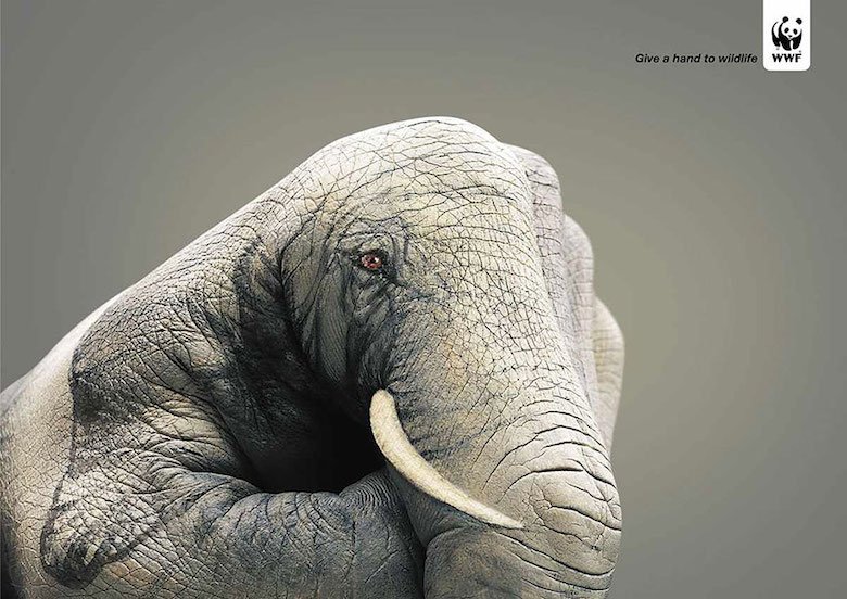 Social Issue Ads 22