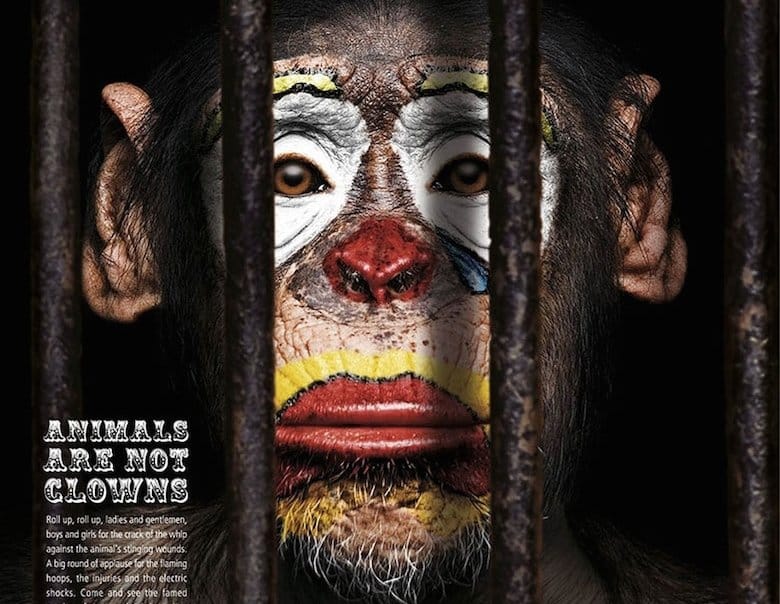 Social Issue Ads 40