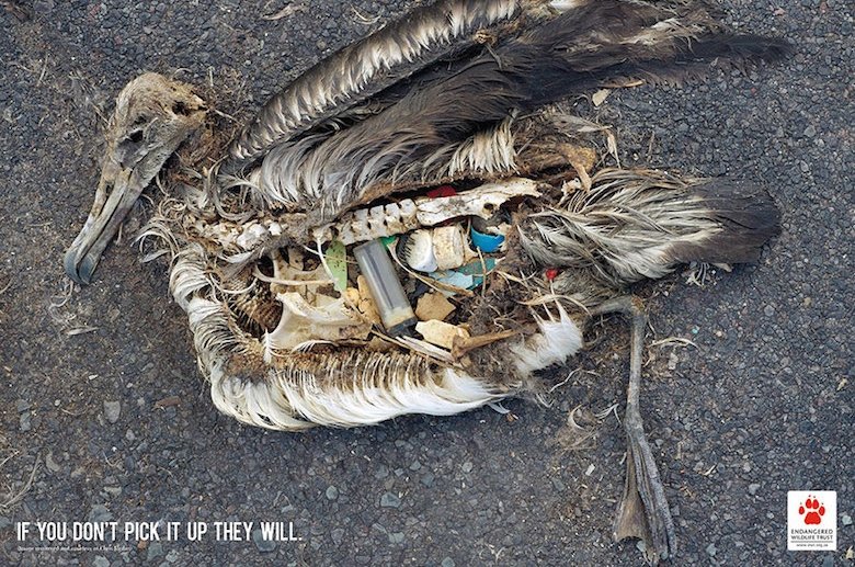 Social Issue Ads 7