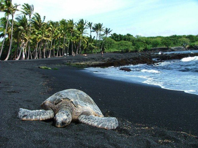 Special Beaches 1 Black Sand Beach