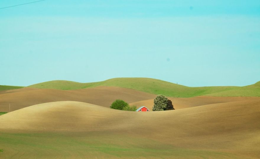 Spring In Palouse, Palouse, Washington Photo Contest