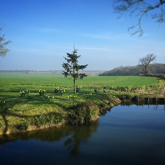 Spring Time, Best Time Jamie Oliver