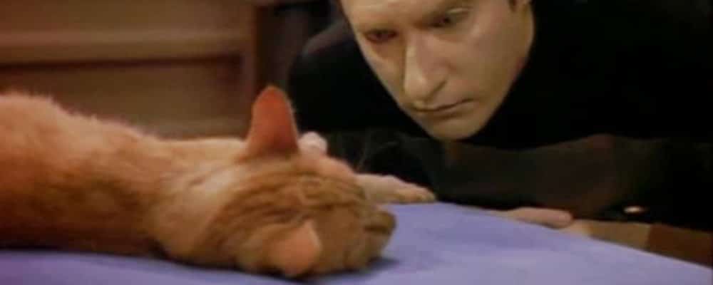 Star Trek the Next Generation Tales From the Set - Data Looks at Spot