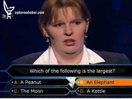 Stupid fail – The priceless pictures of human stupidity
