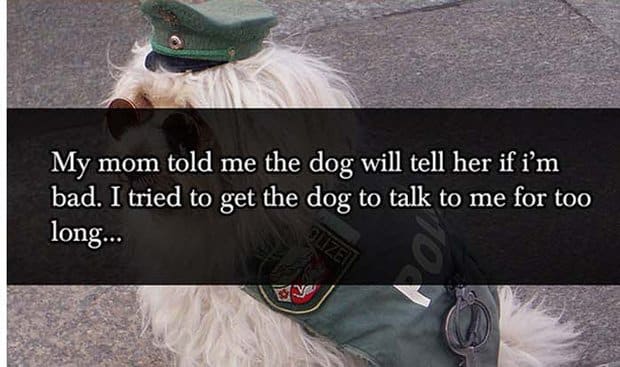 Talking Dog Parent Lies