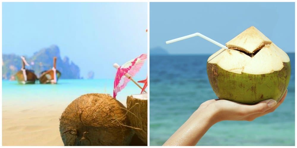 thailand coconuts