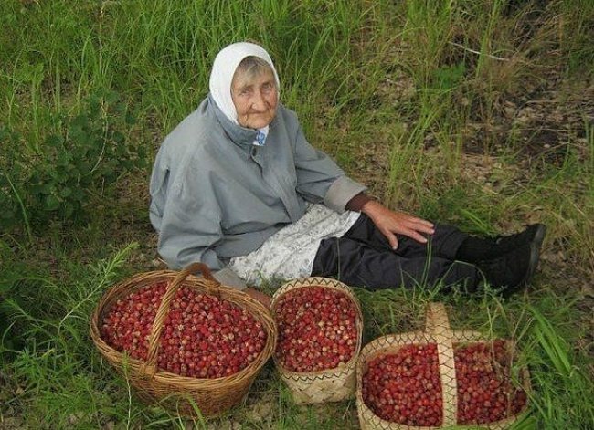 The grandmother Popular photographs