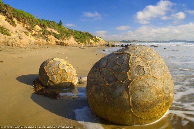 The Moeraki Boulders Travel Ideas