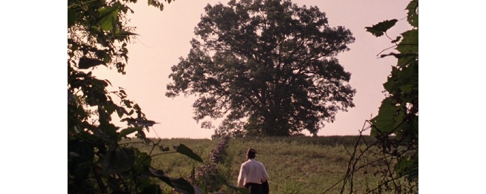 The Shawshank Redemption - Facts and Secrets 10 Treasure Wall