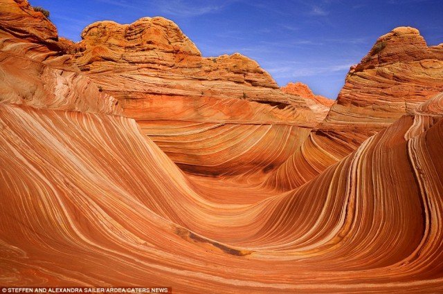 The Wave Travel Ideas