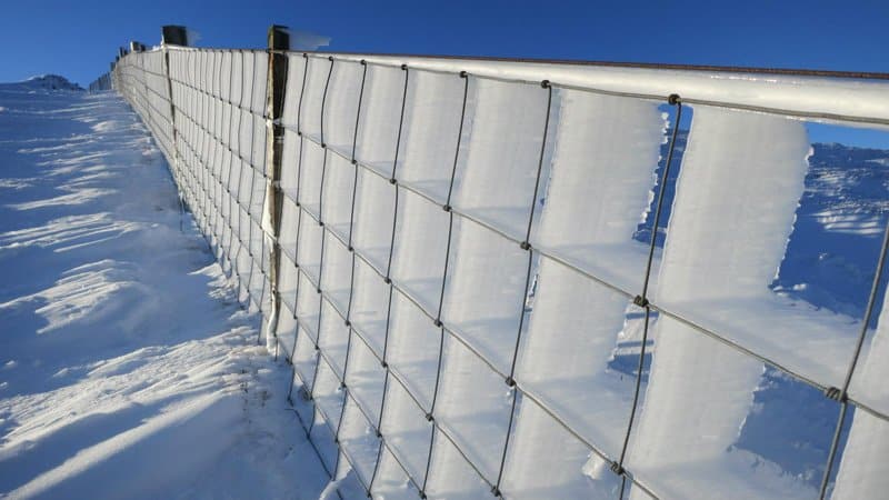 The window of rime ice and wire fence, UK. Great Photos