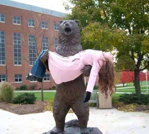 This Bear Reminds me of King Kong Funny Sculptures