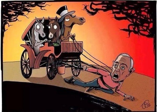 After seeing this, you would think a lot more about Animal Rights