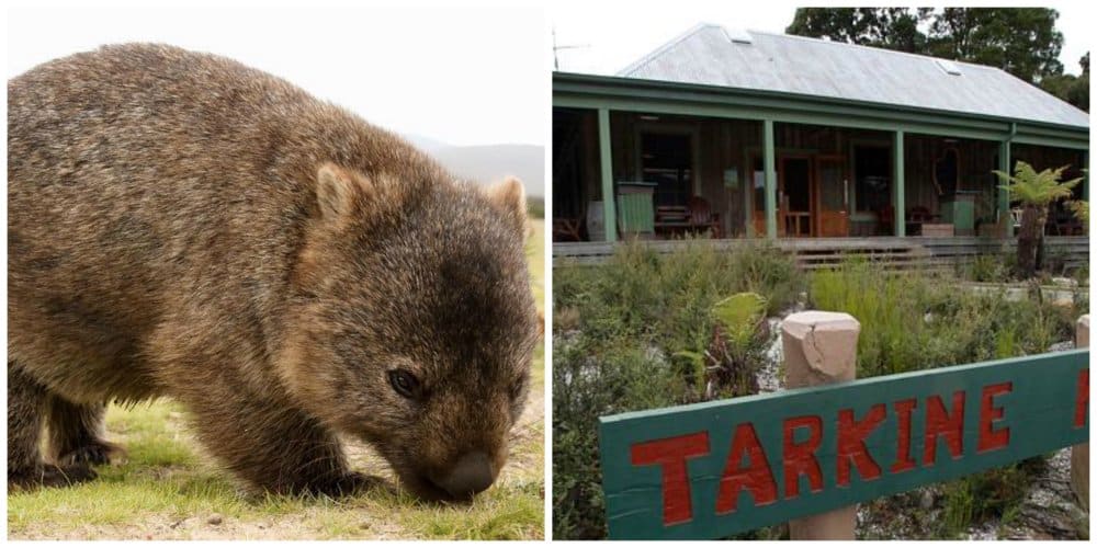 travel off the beaten track tasmania