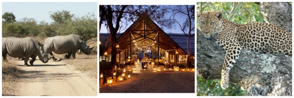 travel off the beaten track thornybush