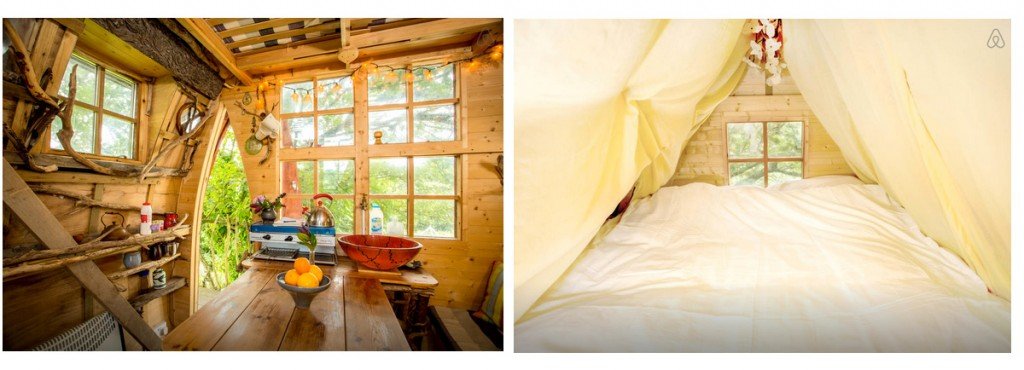 Tree Sparrow House 2 Romantic AirBNB