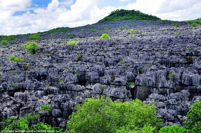 Tsingy Travel Ideas