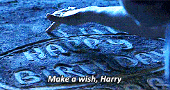 harry potter birthday