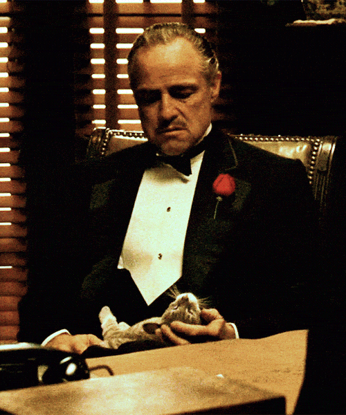 the godfather cat