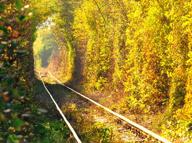 Tunnel of Love in Klevan, Ukraine 2 Unusual Places