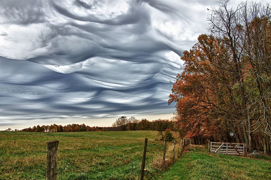 Undulatus Asperatus
