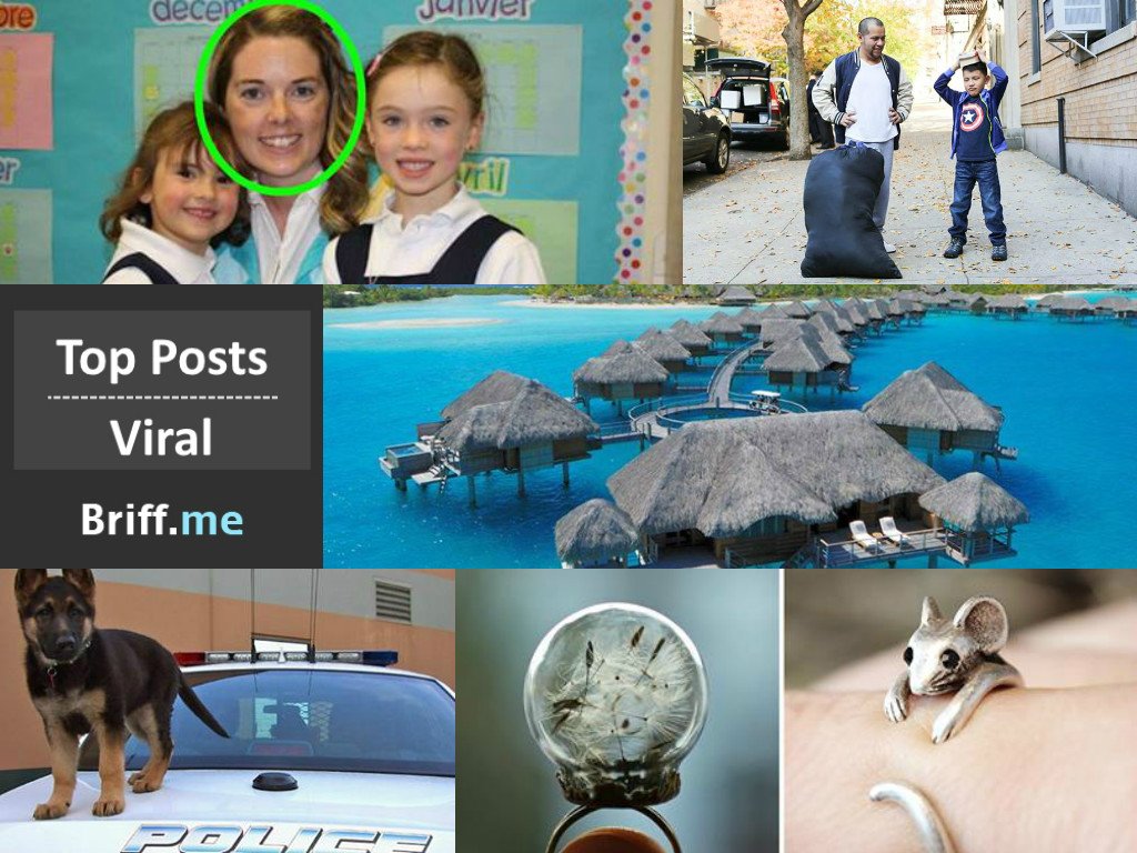 Priceless Hallucination and A Fate Building Story – Viral Briff