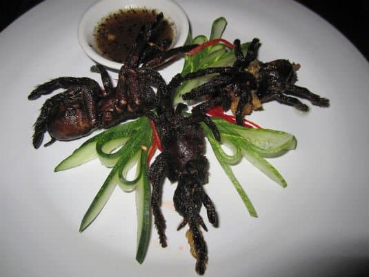 Weird Food - Scary Food 17 Fried Spiders