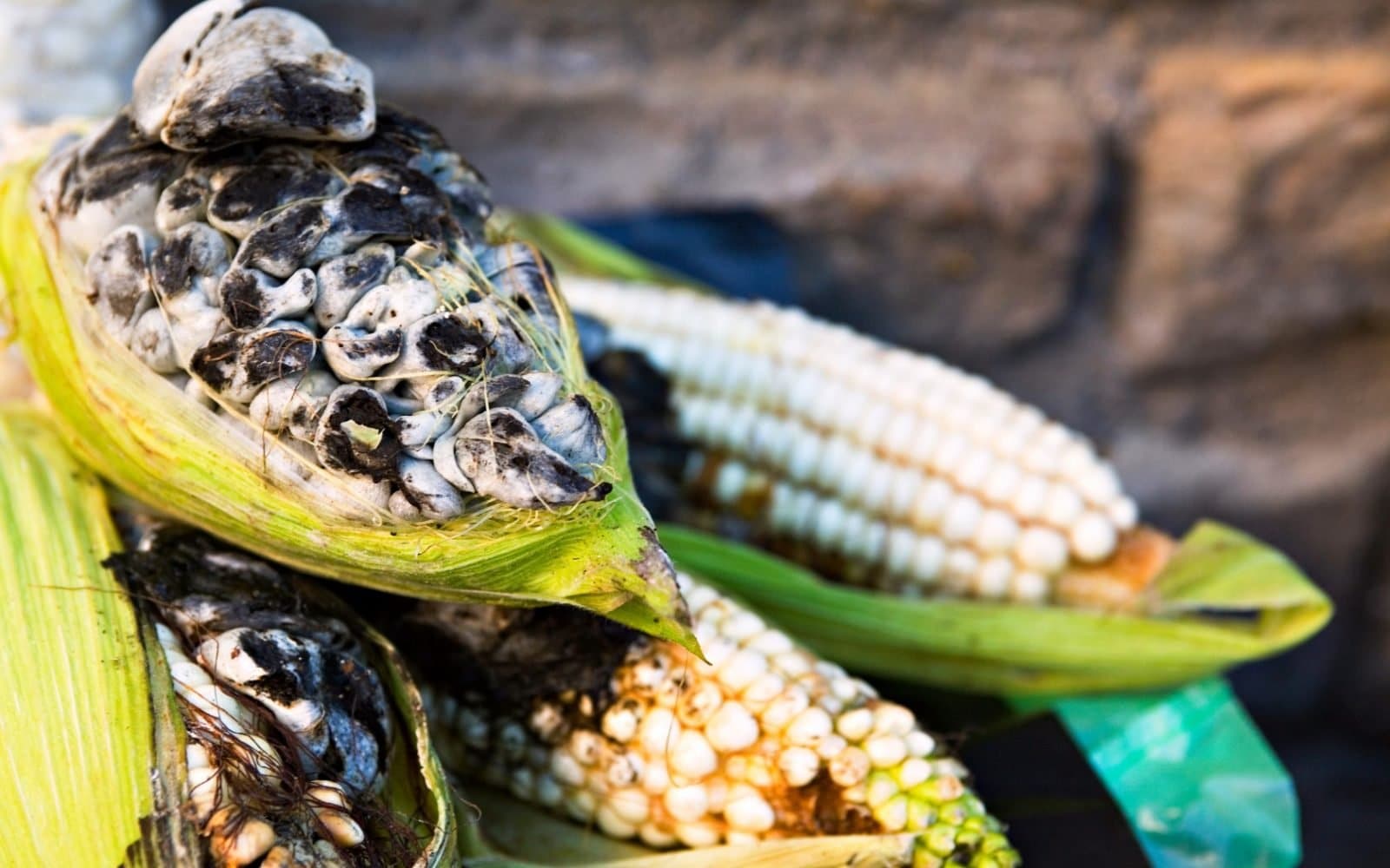 Weird Food - Scary Food 9 Huitlacoche
