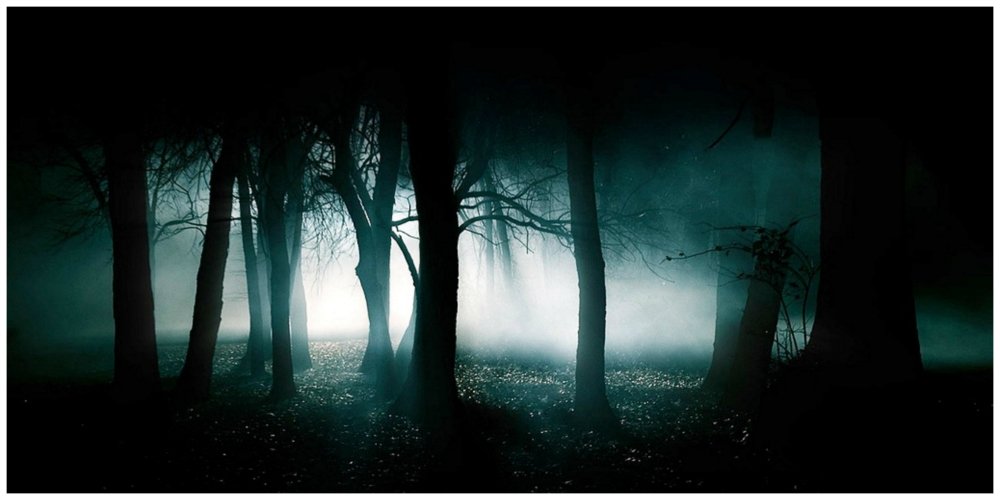 x files forest (1)