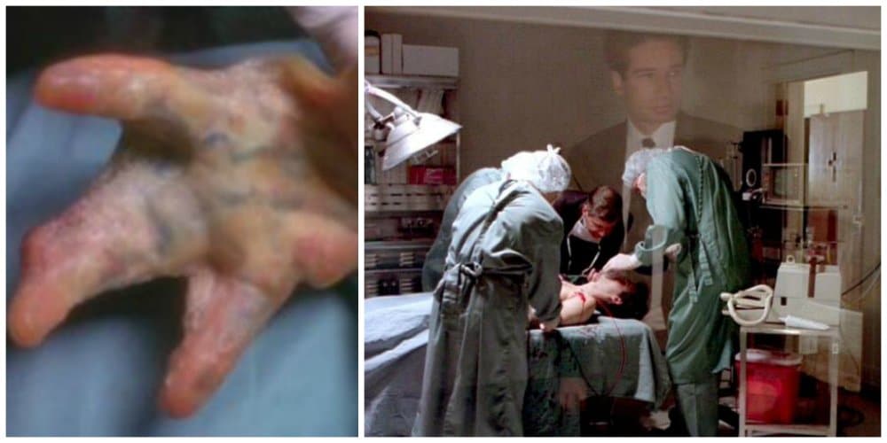 x files salamander hand